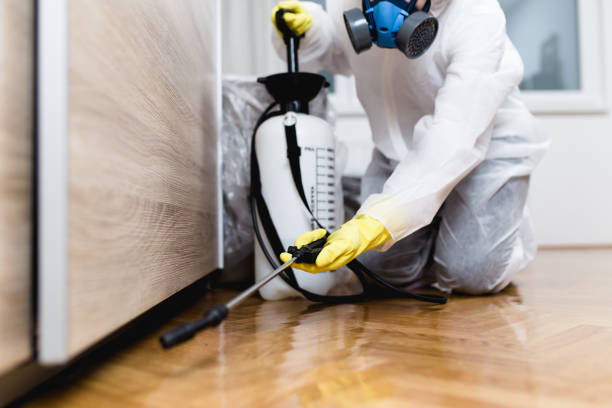 Best Affordable Pest Control Services  in Laurel Park, NC