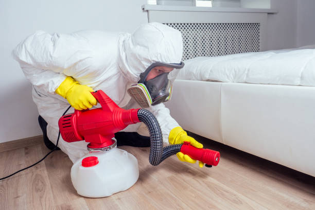 Best Local Pest Control Services  in Laurel Park, NC