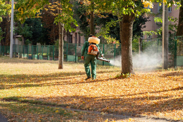 Professional Pest Control in Laurel Park, NC
