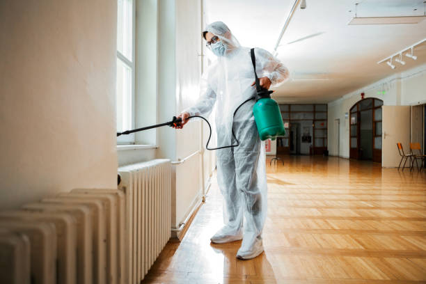 Best Local Pest Control Services  in Laurel Park, NC