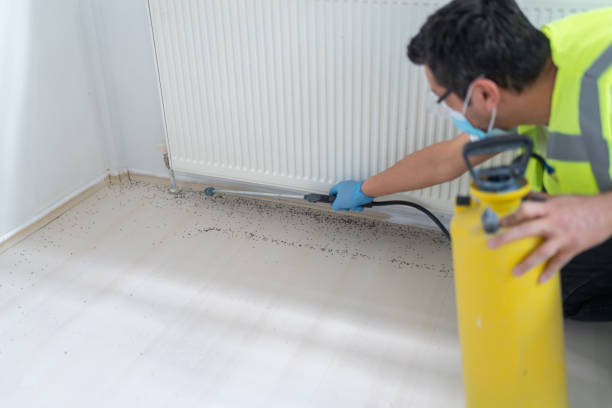 Best Affordable Pest Control Services  in Laurel Park, NC